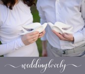 Свадебная фотосессия. Изображение 39549