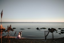 Wedding. Изображение 39717