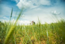 Свадебные фото. Изображение 40246