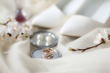 Свадьбы/Weddings. Изображение 48538