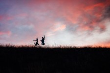 свадебное фото. Изображение 41312