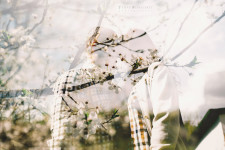 LoveStory. Изображение 40738