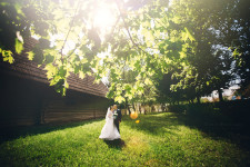 Wedding. Изображение 40797