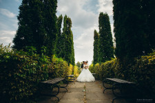 Wedding. Изображение 40808