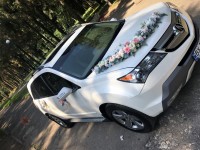 1. Изображение 40873