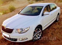 Skoda Superb white 4x4. Изображение 40886