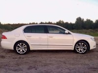 Skoda Superb white 4x4. Изображение 40879