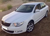 Skoda Superb white 4x4. Изображение 40887