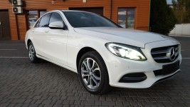 Белоснежка. Изображение 41165