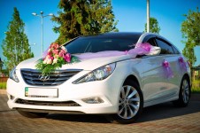 Легковые авто на свадьбу. Изображение 41179 Легковые авто на свадьбу. Изображение 41179