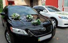 Легковые авто на свадьбу. Изображение 41177 Легковые авто на свадьбу. Изображение 41177