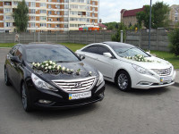 Легковые авто на свадьбу. Изображение 41198 Легковые авто на свадьбу. Изображение 41198