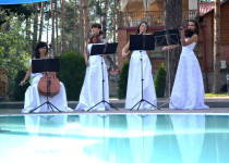 Классика и свадебные церемонии. Изображение 41385