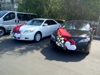 Украшения автомобилей. Изображение 42134