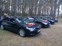 Украшения автомобилей. Изображение 42135