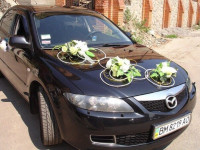 Украшения автомобилей. Изображение 42123