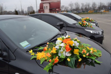 Украшения автомобилей. Изображение 42125