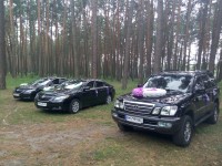 Украшения автомобилей. Изображение 42130