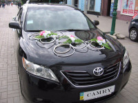 Украшения автомобилей. Изображение 42121