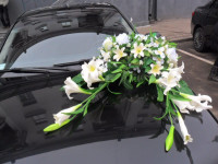 Украшения автомобилей. Изображение 42127