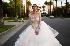 Pollardi. Изображение 42259