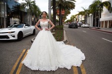 Pollardi. Изображение 42258