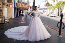 Pollardi. Изображение 42248