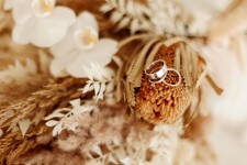 Портфолио . Изображение 72041