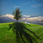 Свадьба. Изображение 3799