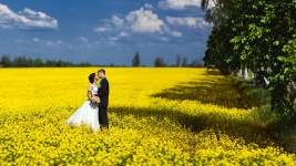 Свадьба. Изображение 3800