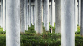 Свадьба. Изображение 3805