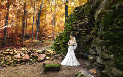 Свадьба. Изображение 3804