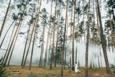 Портфолио. Изображение 42796 Портфолио. Изображение 42796