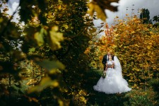 Портфолио. Изображение 42801 Портфолио. Изображение 42801