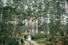 Портфолио. Изображение 42811 Портфолио. Изображение 42811