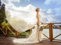 Cвадьбы. Изображение 43153 Cвадьбы. Изображение 43153