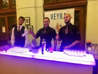 Коллаж Event Bar Planet Z. Изображение 43287