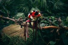 Свадебный букет и аксессуары . Изображение 44096 Свадебный букет и аксессуары . Изображение 44096