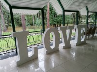 Оформлення весілля. Изображение 44453 Оформлення весілля. Изображение 44453