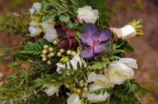 Forest wedding. Изображение 44490 Forest wedding. Изображение 44490