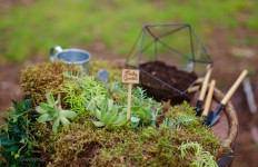 Forest wedding. Изображение 44491 Forest wedding. Изображение 44491