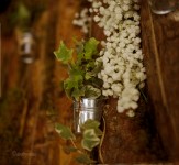 Forest wedding. Изображение 44505 Forest wedding. Изображение 44505