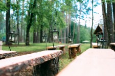 Forest wedding. Изображение 44501 Forest wedding. Изображение 44501