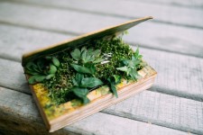 Forest wedding. Изображение 44497 Forest wedding. Изображение 44497