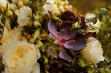 Forest wedding. Изображение 44486 Forest wedding. Изображение 44486