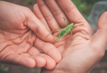 Oksana & Artur. Изображение 44815