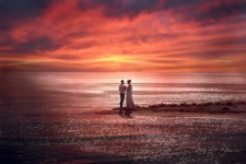 Professional Photos of my Weddings. Изображение 46674