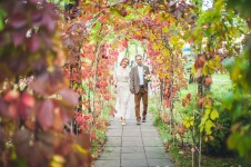 W-day. Изображение 45195