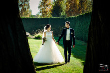 Wedding. Изображение 54741