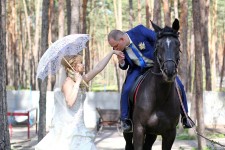 СВАДЬБА. Изображение 45324